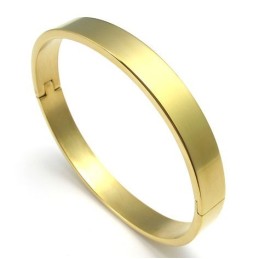 Technologie Sophistiquée Belles Couleurs Bracelet En Titane De Qualité Supérieure