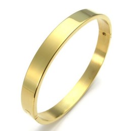Technologie Sophistiquée Belles Couleurs Bracelet En Titane De Qualité Supérieure