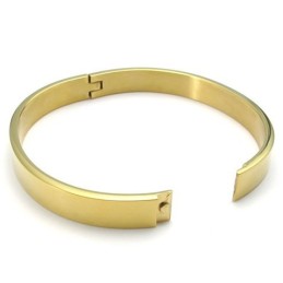 Technologie Sophistiquée Belles Couleurs Bracelet En Titane De Qualité Supérieure