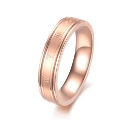 Bague En Titane Pour Femme, Complète Avec Spécifications