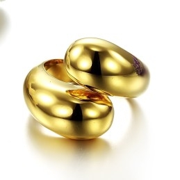 La Reine De La Bague En Titane Exagérée De Qualité