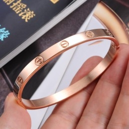 Bracelet Jonc En Titane À Vis Femelle, Grande Variété