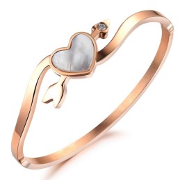 Bracelet En Titane Pour Femme De Haute Qualité