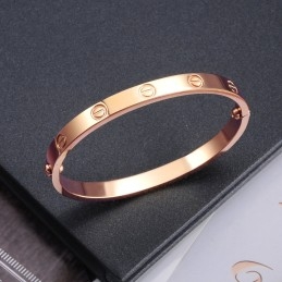 Bracelet Jonc En Titane À Vis Femelle, Qualité Et Quantité Garanties