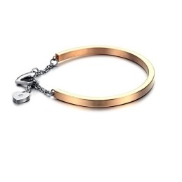 Bracelet Jonc En Titane De Qualité Fiable En Forme De Cadenas Pour Femme