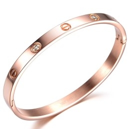Bracelet Jonc En Titane À Vis Femelle De Qualité Supérieure