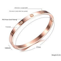 Bracelet Jonc En Titane À Vis Femelle De Qualité Supérieure