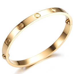 Bracelet Jonc En Titane Pour Femme Facile À Utiliser