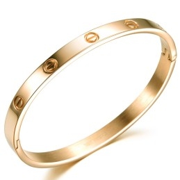 Le Bracelet Jonc En Titane Pour Femme De Qualité