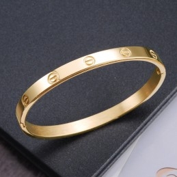 Le Bracelet Jonc En Titane Pour Femme De Qualité