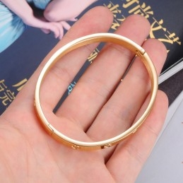 Le Bracelet Jonc En Titane Pour Femme De Qualité