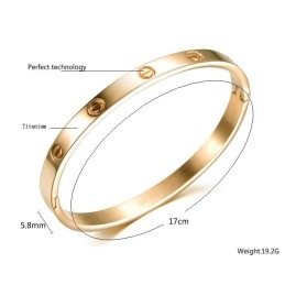Le Bracelet Jonc En Titane Pour Femme De Qualité