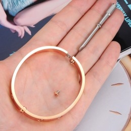 Bracelet Jonc En Titane Avec Strass Pour Femme