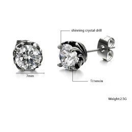 Boucles D'Oreilles Unisexes En Titane, Grande Variété