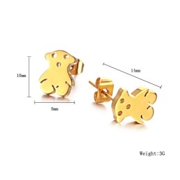 Boucles D'Oreilles En Titane Pour Femme, La Reine De La Qualité