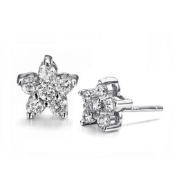 Boucles D'Oreilles En Titane Plaqué Platine Et Diamant, Réputées Pour Leur Qualité Supérieure, Hypoallergéniques.
