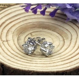 Boucles D'Oreilles En Titane Plaqué Platine Hypoallergéniques De Haute Qualité Pour Femmes