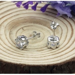 Boucles D'Oreilles En Titane Plaqué Platine Hypoallergéniques De Haute Qualité Pour Femmes