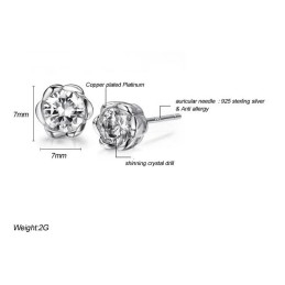 Boucles D'Oreilles En Titane Plaqué Platine Hypoallergéniques De Haute Qualité Pour Femmes