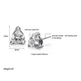 Boucles D'Oreilles En Titane Plaqué Platine Hypoallergéniques Pour Femmes D'Excellente Qualité