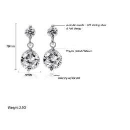 Boucles D'Oreilles En Titane Plaqué Platine Pour Femmes, Hypoallergéniques, De Qualité Et De Quantité Garanties