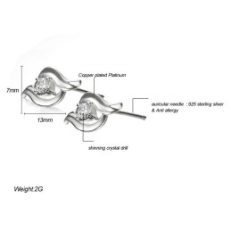 Boucles D'Oreilles En Titane Plaqué Platine Hypoallergéniques De Haute Qualité Pour Femmes