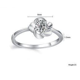 La Reine De La Bague En Titane Plaqué Platine Pour Femme De Qualité
