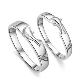 Bague En Titane Plaqué Platine Dolphin Pour Amoureux, Complète Avec Spécifications