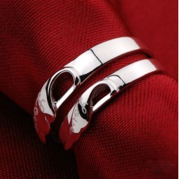 La Bague En Titane Plaqué Platine De Qualité Reine Pour Les Amoureux