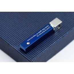 Superbe Pendentif En Titane Bleu Pour Homme - Chaîne Offerte