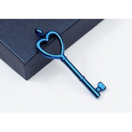Pendentif Clé En Titane En Forme De Cœur - Chaîne Offerte