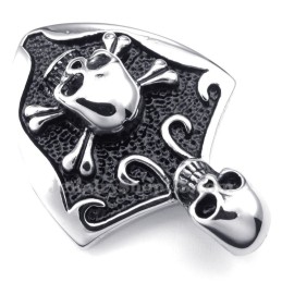 Collier Pendentif Tête De Mort En Titane (Chaîne Gratuite)