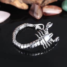 Bracelet En Titane Poli Animal Scorpion