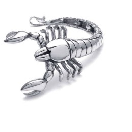 Bracelet En Titane Poli Animal Scorpion