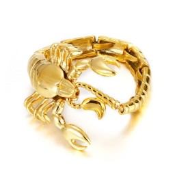 Bracelet Scorpion En Titane Doré Pour Homme