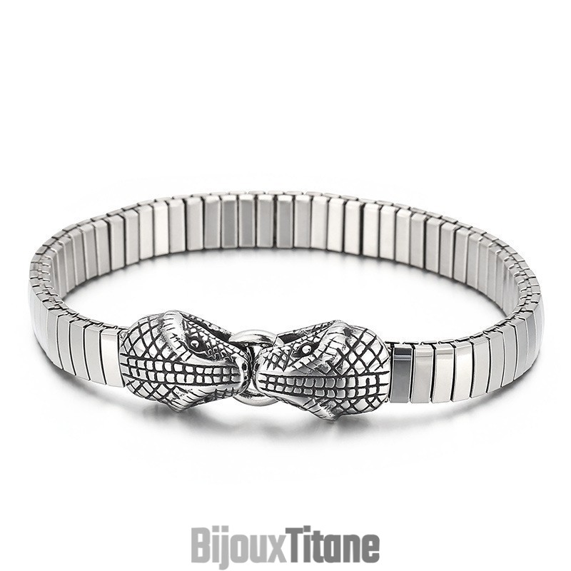 Bracelet En Titane Pour Homme, Style Chic Et Tendance, Avec Double Tête De Serpent Bracelet En Titane Pour Homme, Style Chic Et Tendance, Avec Double Tête De Serpent