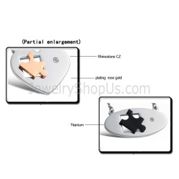 Pendentifs En Titane Ellipse Et Cœur Avec Strass Et Chaînes Offertes C732