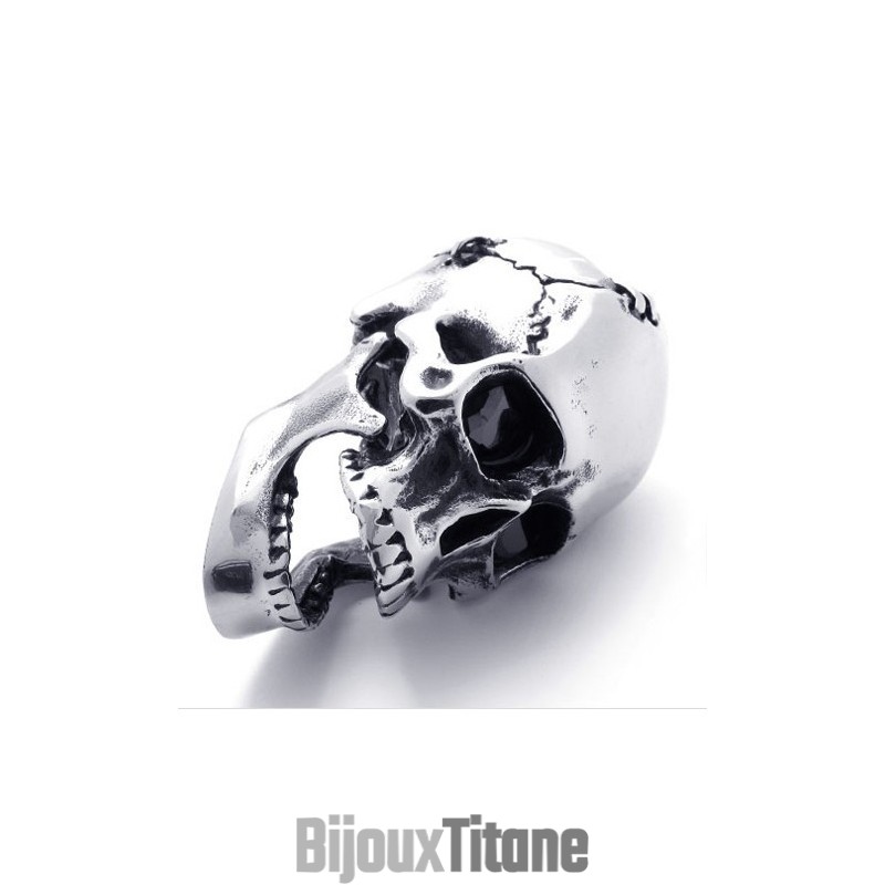 Pendentif Crâne En Titane Pendentif Crâne En Titane