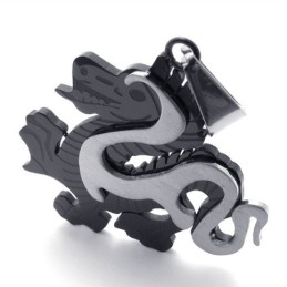 Pendentif Dragon Noir En Titane