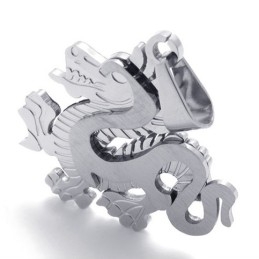 Pendentif Dragon En Titane
