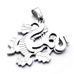 Pendentif Dragon En Titane