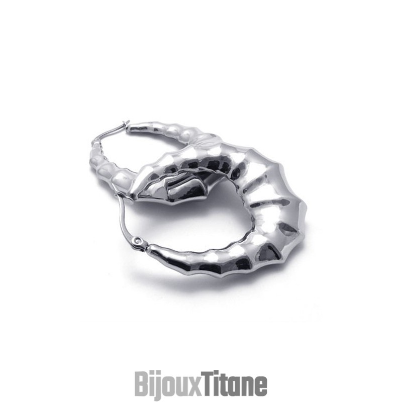 Boucles D'Oreilles En Titane Et Corne Boucles D'Oreilles En Titane Et Corne