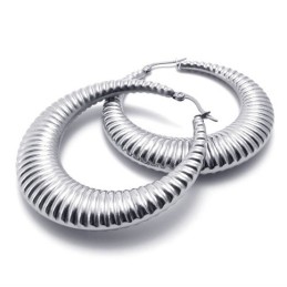 Boucles D'Oreilles En Titane