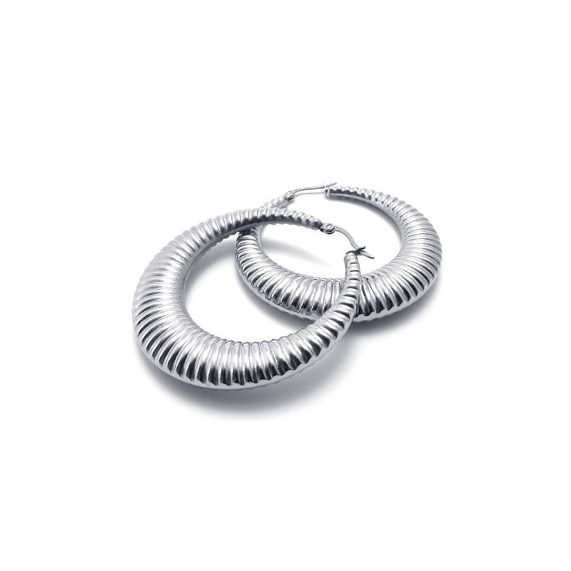 Boucles D'Oreilles En Titane