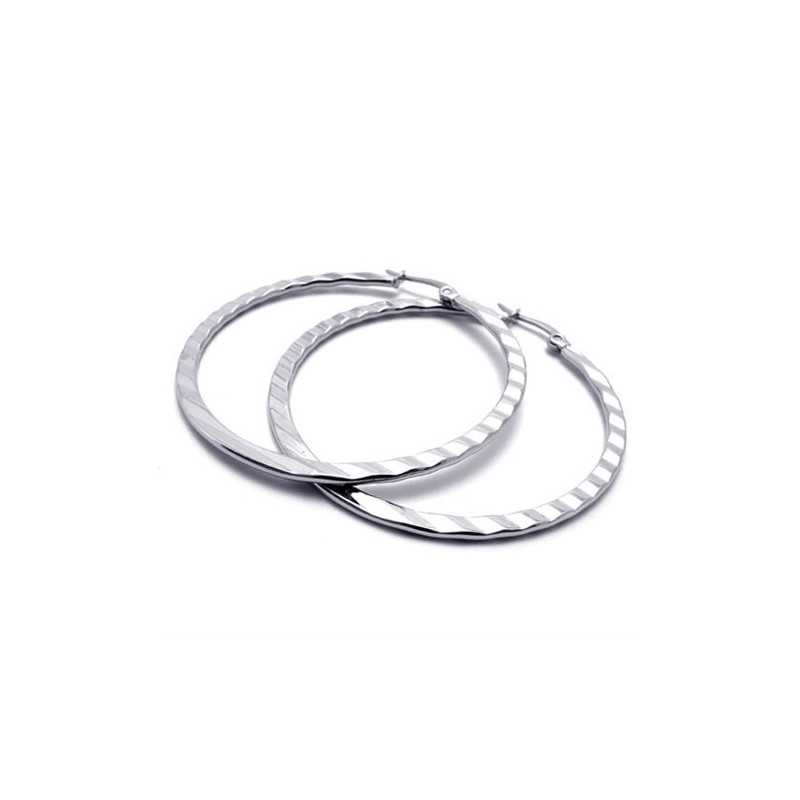 Boucles D'Oreilles En Titane Boucles D'Oreilles En Titane