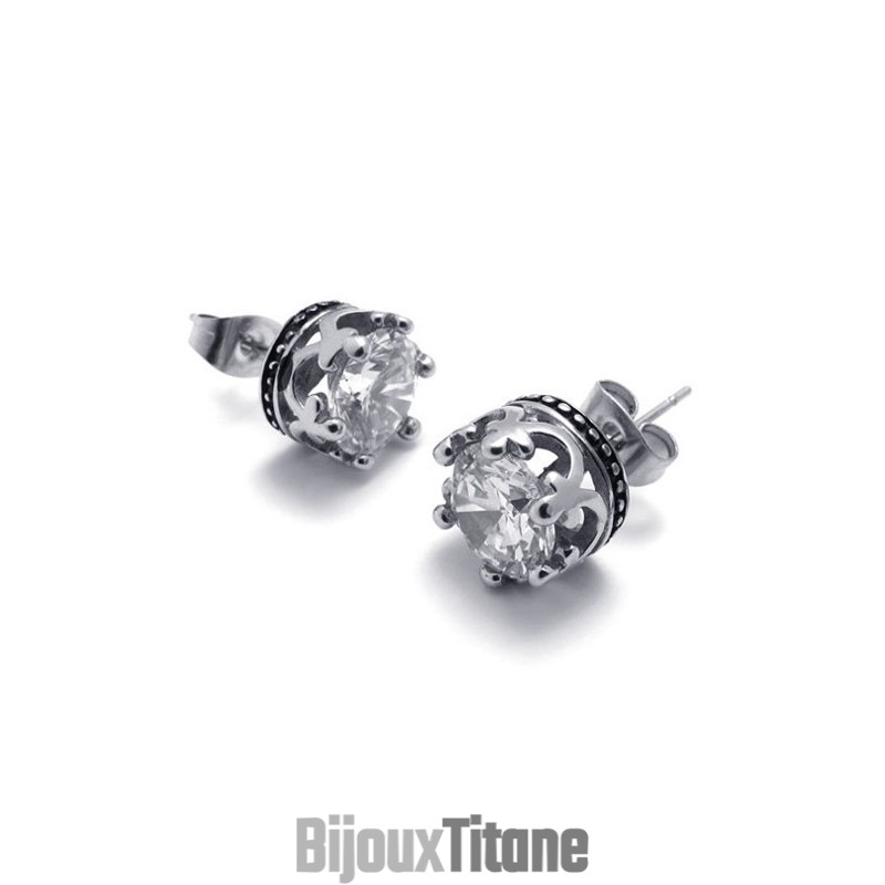 Boucles D'Oreilles En Titane Et Diamant Boucles D'Oreilles En Titane Et Diamant