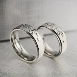 Modèle De Couple De Bagues En Titane
