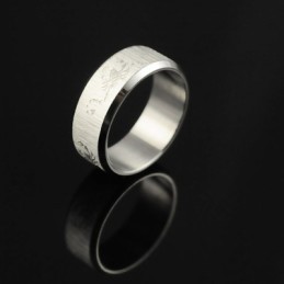 Bague En Titane Pour Homme Scorpion