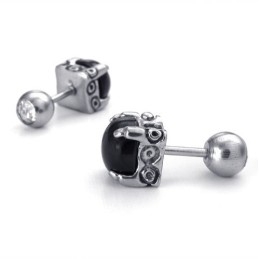 Boucles D'Oreilles En Titane De Forme Élégante Et De Couleurs Délicates D'Excellente Qualité