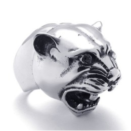 Bague En Titane De Qualité Supérieure, Fabrication Soignée, Couleur Brillante